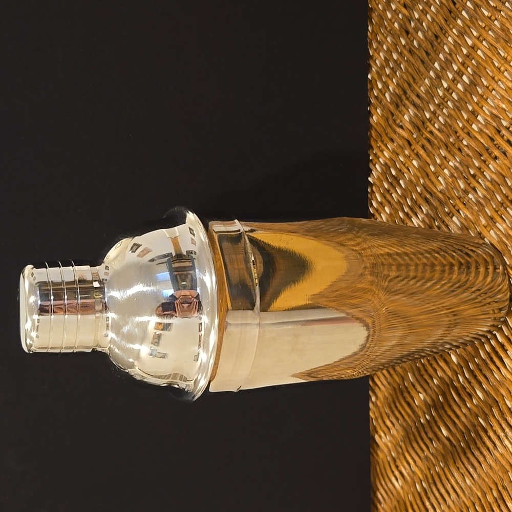Stainless Steel Martini Shaker